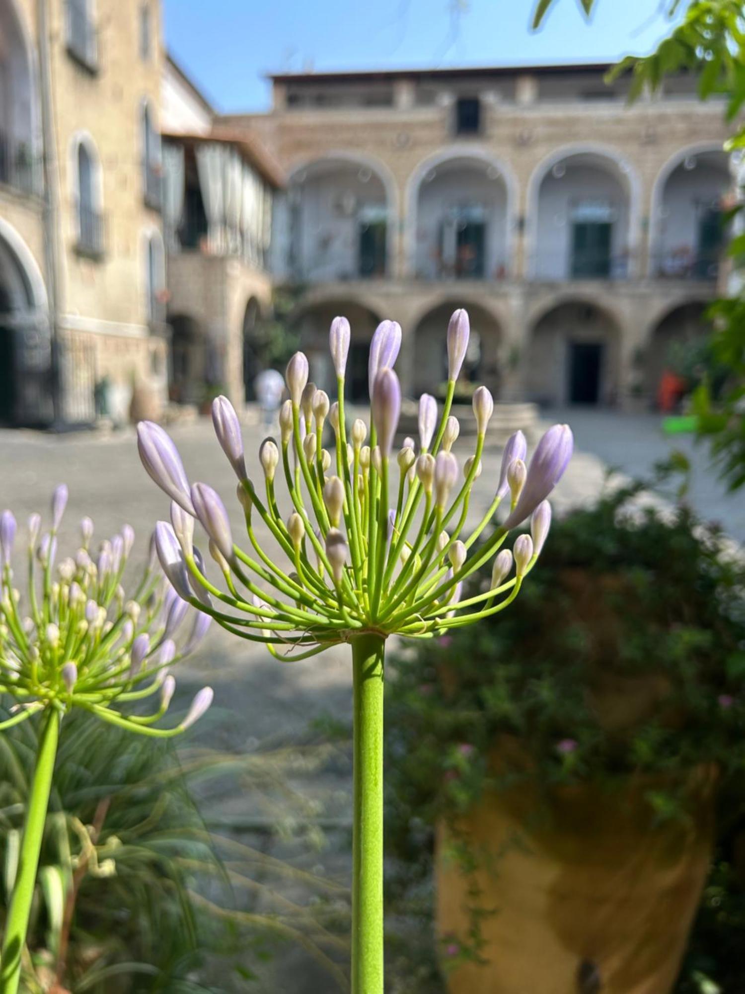 Апартаменты Palazzo Capece Caivano Экстерьер фото